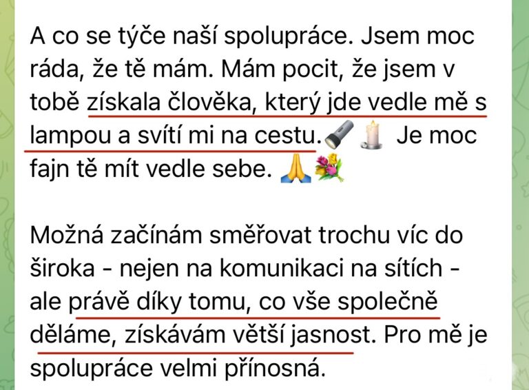 Mája Vajďáková - Magnetická značka a prodej Reference Začátek je vždy o pochopení – kdo jsem, co přináším, jak to celé funguje. Pak je to o správně směřované energii, nastavení, akci a konzistenci. A když tohle sedí, výsledky přicházejí, často i naprosto přirozeně. Bez toho šíleného tlaku na výkon. Bez přetvářky.