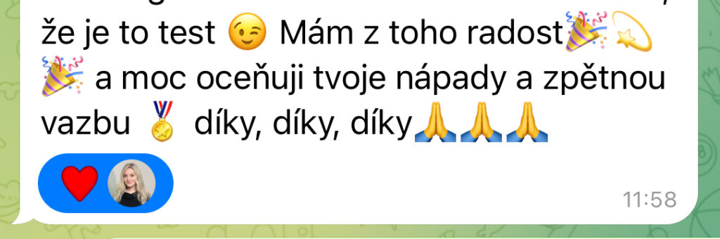 Mája Vajďáková - Magnetická značka a prodej Reference Začátek je vždy o pochopení – kdo jsem, co přináším, jak to celé funguje. Pak je to o správně směřované energii, nastavení, akci a konzistenci. A když tohle sedí, výsledky přicházejí, často i naprosto přirozeně. Bez toho šíleného tlaku na výkon. Bez přetvářky.