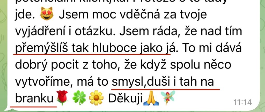 Mája Vajďáková - Magnetická značka a prodej Reference Začátek je vždy o pochopení – kdo jsem, co přináším, jak to celé funguje. Pak je to o správně směřované energii, nastavení, akci a konzistenci. A když tohle sedí, výsledky přicházejí, často i naprosto přirozeně. Bez toho šíleného tlaku na výkon. Bez přetvářky.