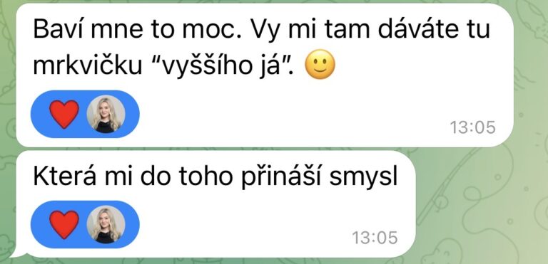 Mája Vajďáková - Magnetická značka a prodej Reference Začátek je vždy o pochopení – kdo jsem, co přináším, jak to celé funguje. Pak je to o správně směřované energii, nastavení, akci a konzistenci. A když tohle sedí, výsledky přicházejí, často i naprosto přirozeně. Bez toho šíleného tlaku na výkon. Bez přetvářky.