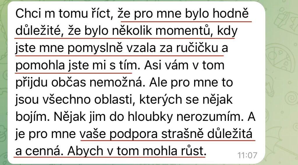 Mája Vajďáková - Magnetická značka a prodej Reference Začátek je vždy o pochopení – kdo jsem, co přináším, jak to celé funguje. Pak je to o správně směřované energii, nastavení, akci a konzistenci. A když tohle sedí, výsledky přicházejí, často i naprosto přirozeně. Bez toho šíleného tlaku na výkon. Bez přetvářky.