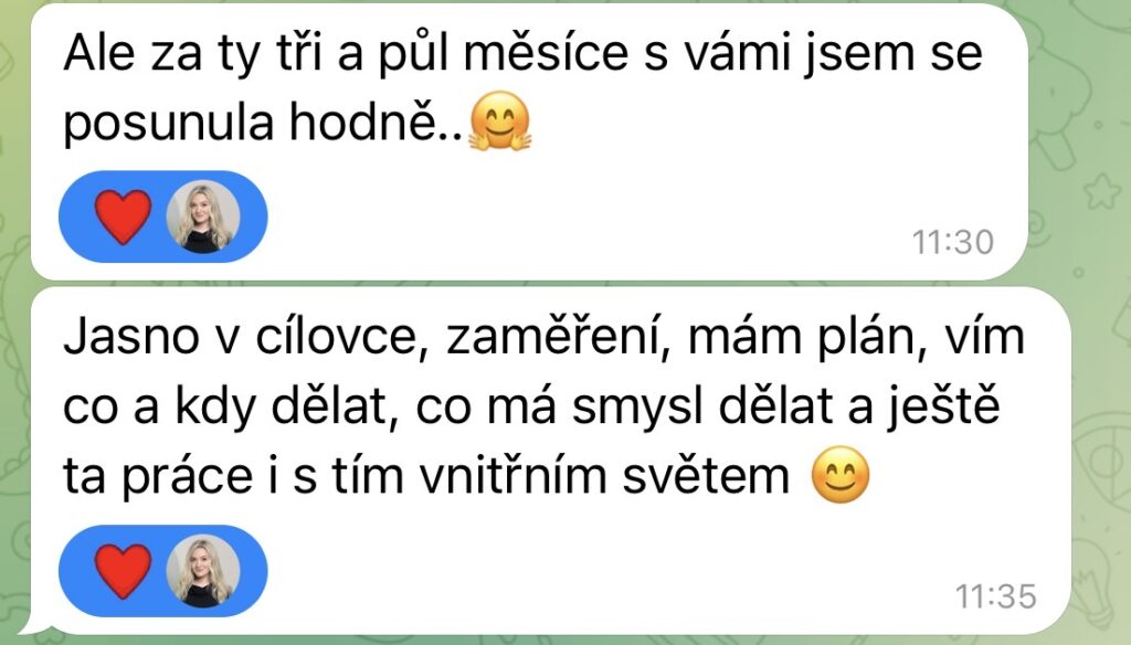 Mája Vajďáková - Magnetická značka a prodej Mentoring Je tenhle mentoring pro mě, když teprve začínám?