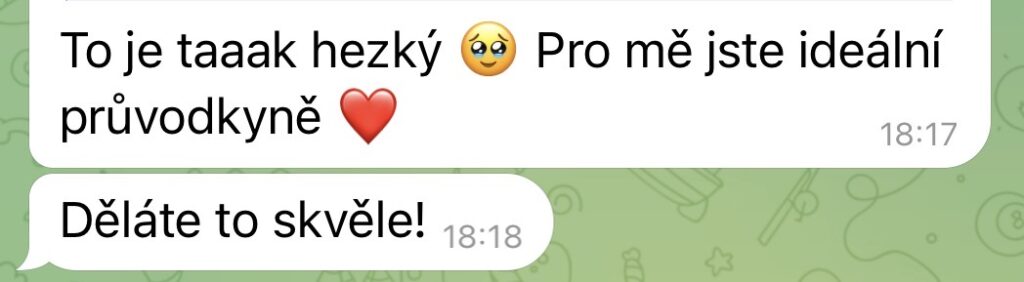 Mája Vajďáková - Magnetická značka a prodej Jednorázová konzultace 60 minut, které ti dají to, co jsi možná hledala celé měsíce. Jasnost, směr a jiný pohled - přesně na míru tobě.