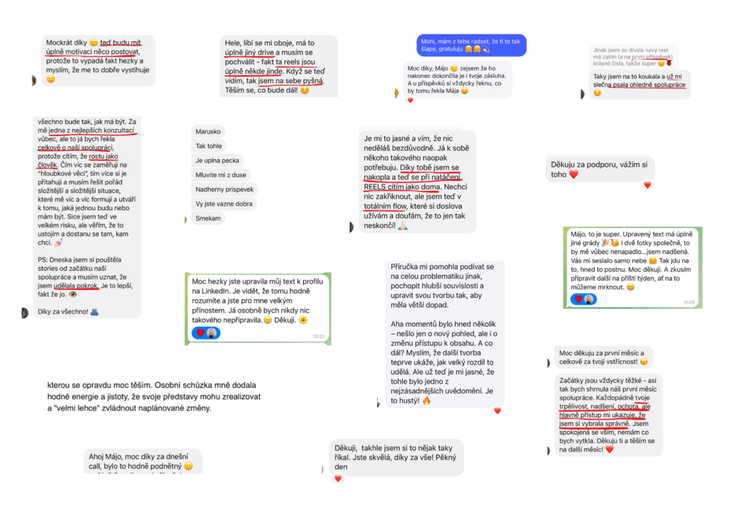 Mája Vajďáková - Magnetická značka a prodej Reference Začátek je vždy o pochopení – kdo jsem, co přináším, jak to celé funguje. Pak je to o správně směřované energii, nastavení, akci a konzistenci. A když tohle sedí, výsledky přicházejí, často i naprosto přirozeně. Bez toho šíleného tlaku na výkon. Bez přetvářky.