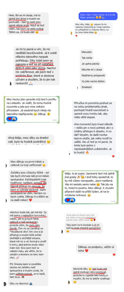 Mája Vajďáková - Magnetická značka a prodej Reference Začátek je vždy o pochopení – kdo jsem, co přináším, jak to celé funguje. Pak je to o správně směřované energii, nastavení, akci a konzistenci. A když tohle sedí, výsledky přicházejí, často i naprosto přirozeně. Bez toho šíleného tlaku na výkon. Bez přetvářky.
